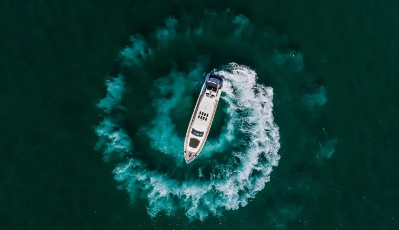 101 Leopard _ Photo 2