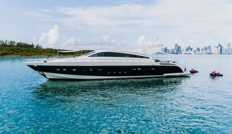 101 Leopard _ Photo 6