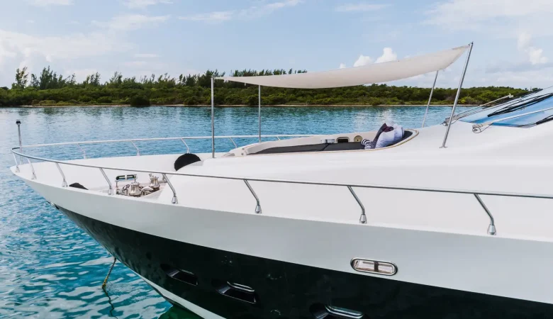 101 Leopard _ Photo 8